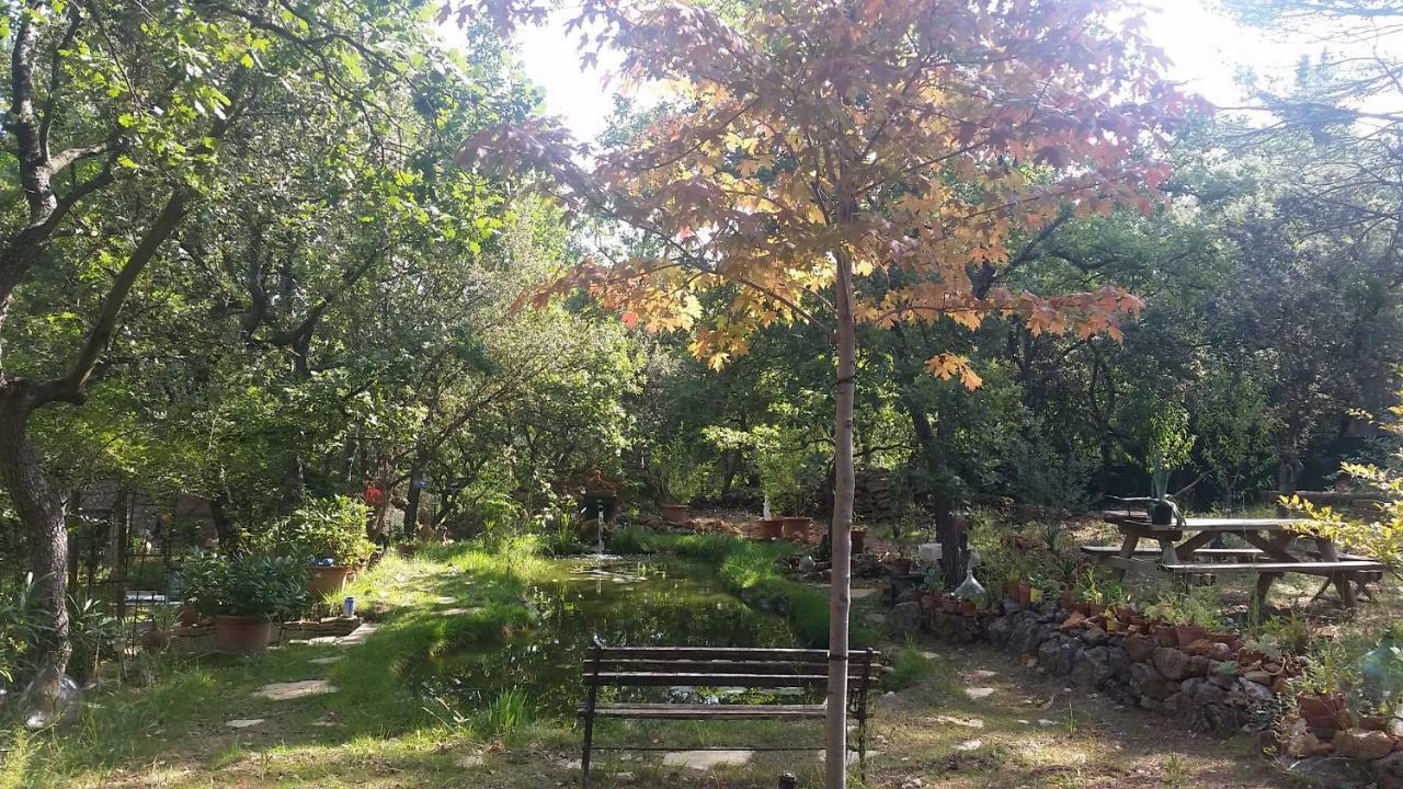 Villa Mylena Jouques Esterno foto